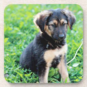 German Shepherd Puppy Bier Onderzetter
