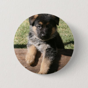 German Shepherd Puppy "Big Max" Ronde Button 5,7 Cm