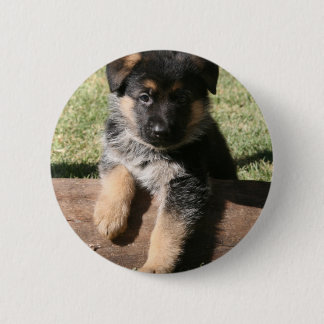 German Shepherd Puppy "Big Max" Ronde Button 5,7 Cm