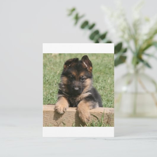 German Shepherd Puppy Briefkaart (Staand voorkant)