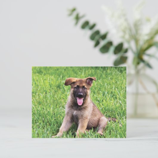 German Shepherd Puppy Briefkaart (Staand voorkant)