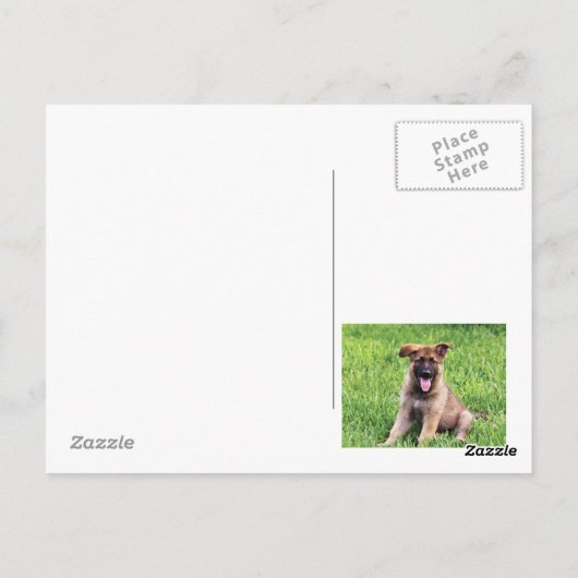 German Shepherd Puppy Briefkaart (Achterkant)