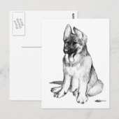German Shepherd Puppy Briefkaart (Voorkant / Achterkant)