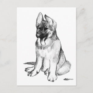 German Shepherd Puppy Briefkaart