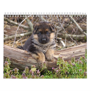 German Shepherd Puppy Calendar 2016 Kalender