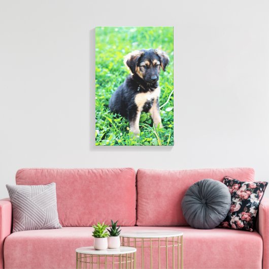 German Shepherd Puppy Canvas Afdruk (Insitu (Woonkamer))