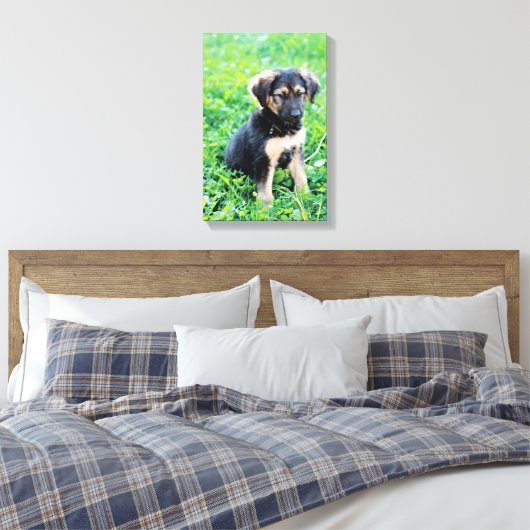 German Shepherd Puppy Canvas Afdruk (Insitu (Slaapkamer))