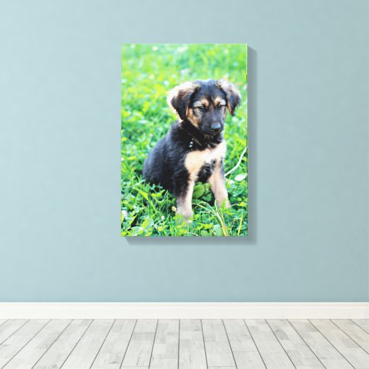 German Shepherd Puppy Canvas Afdruk (Insitu (Houten vloer))