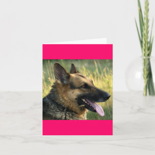 German Shepherd Puppy Dog Blank Note Card Kaart