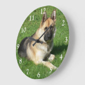 German Shepherd Puppy Dog Grote Klok (Hoek)