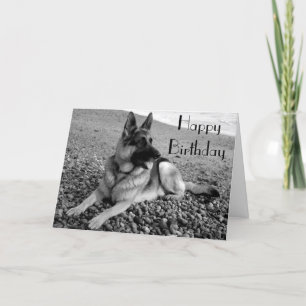 German Shepherd Puppy Dog Happy Birthday Card Kaart
