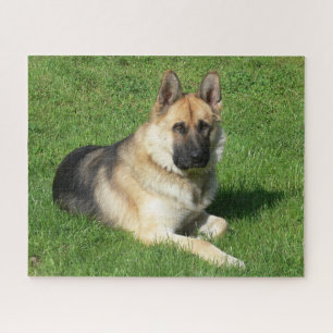German Shepherd Puppy Dog Jigzaag Puzzle Legpuzzel