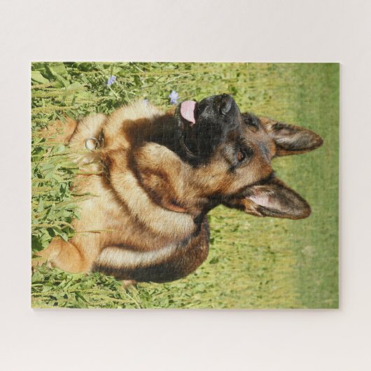 German Shepherd Puppy Dog Legpuzzel (Horizontaal)