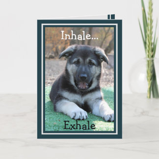 German Shepherd Puppy Funny Birthday Card Kaart