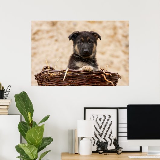 German Shepherd Puppy In Basket Poster (Thuiskantoor)