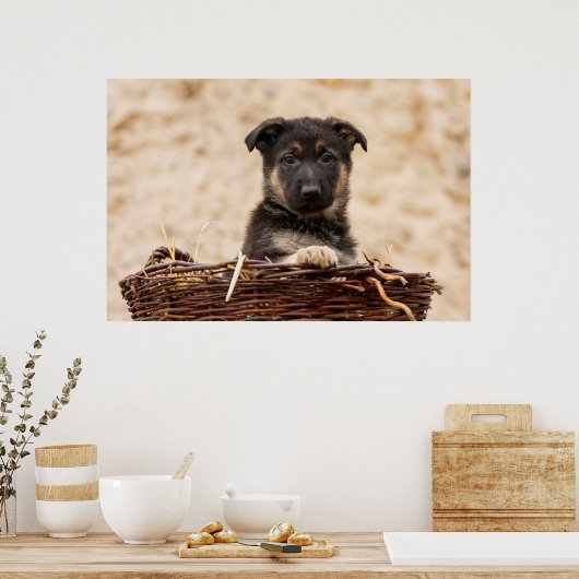 German Shepherd Puppy In Basket Poster (Keuken)