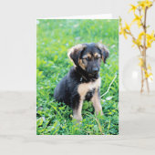 German Shepherd Puppy Kaart (Gele Bloem)