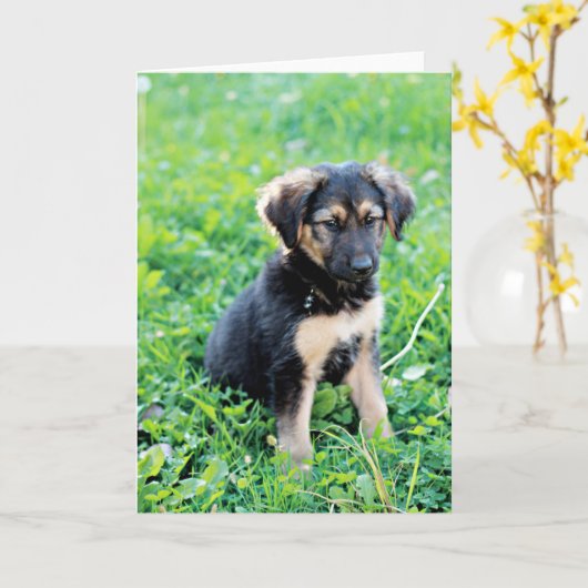 German Shepherd Puppy Kaart (Gele Bloem)