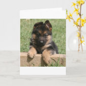 German Shepherd Puppy Kaart (Gele Bloem)