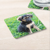 German Shepherd Puppy Kartonnen Onderzetters (Schuin)