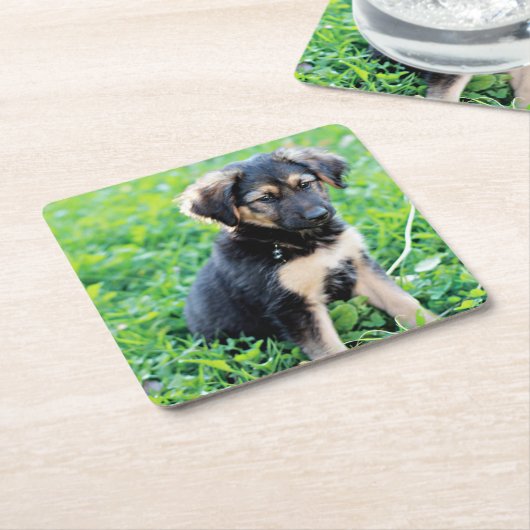 German Shepherd Puppy Kartonnen Onderzetters (Schuin)