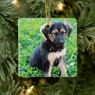 German Shepherd Puppy Keramisch Ornament