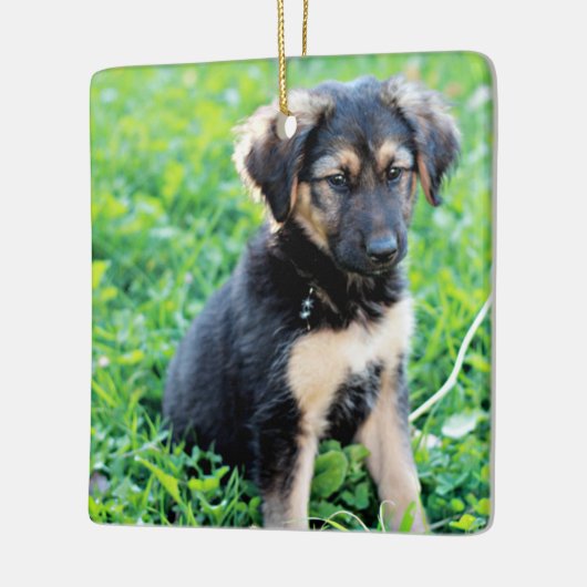 German Shepherd Puppy Keramisch Ornament (Links)