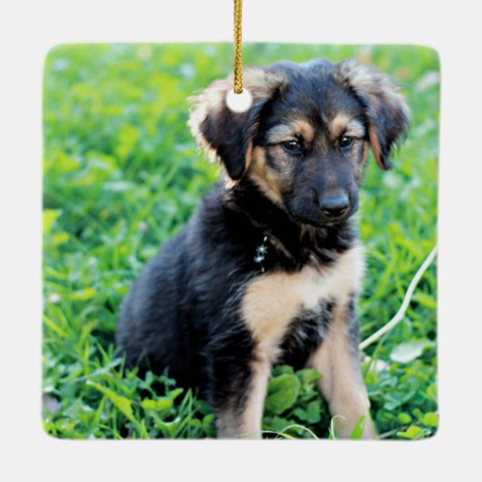 German Shepherd Puppy Keramisch Ornament (Achterkant)