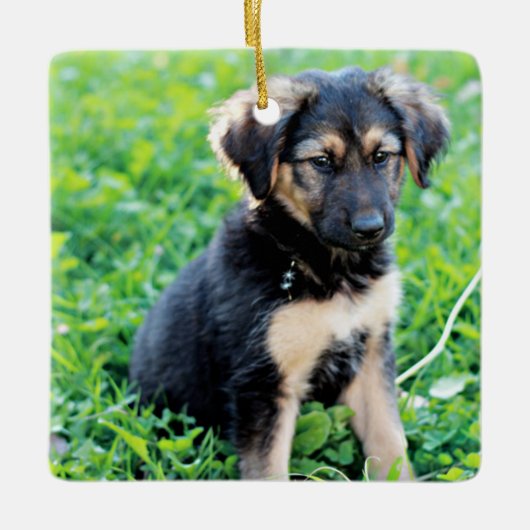 German Shepherd Puppy Keramisch Ornament (Voorkant)