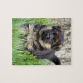 German Shepherd Puppy Legpuzzel (Horizontaal)