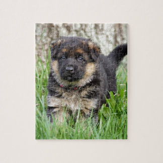 German Shepherd Puppy Legpuzzel