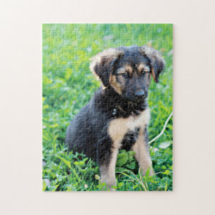 German Shepherd Puppy Legpuzzel