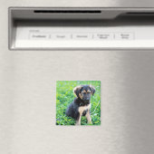 German Shepherd Puppy Magneet (Insitu (Vaatwasser))