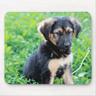 German Shepherd Puppy Muismat