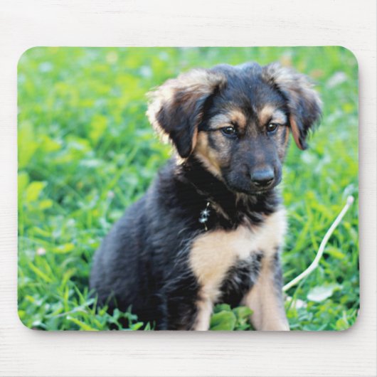 German Shepherd Puppy Muismat (Voorkant)