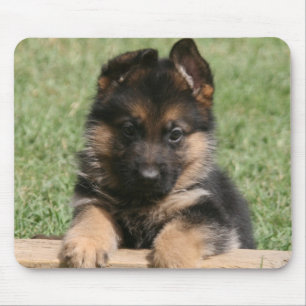 German Shepherd Puppy Muismat