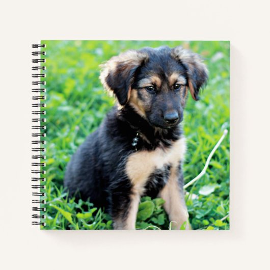 German Shepherd Puppy Notitieboek (Voorkant)