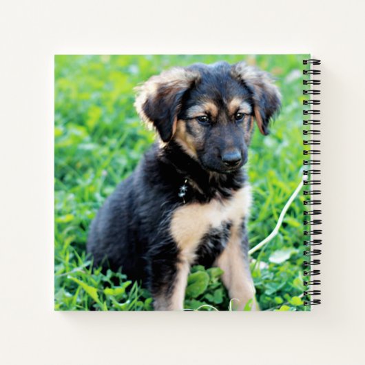 German Shepherd Puppy Notitieboek (Achterkant)