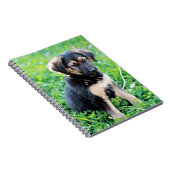 German Shepherd Puppy Notitieboek (Rechterzijde)
