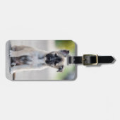 German Shepherd Puppy on Footpath Bagagelabel (Voorkant horizontaal)