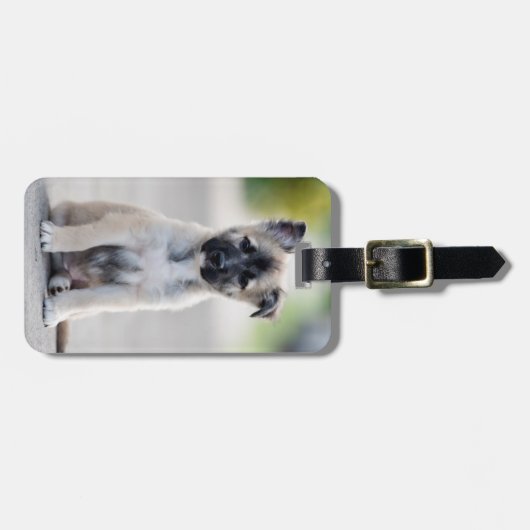 German Shepherd Puppy on Footpath Bagagelabel (Voorkant horizontaal)