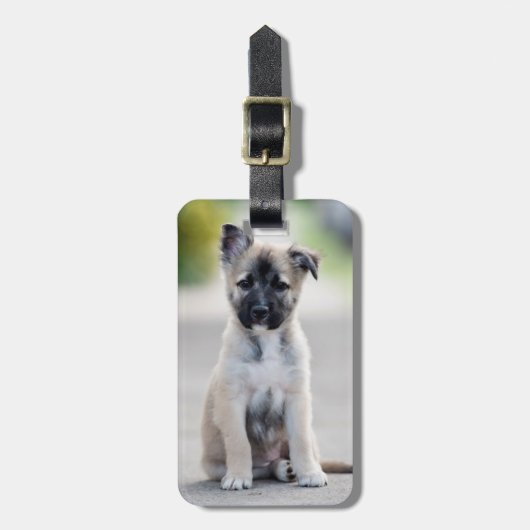 German Shepherd Puppy on Footpath Bagagelabel (Voorkant verticaal)