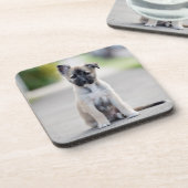 German Shepherd Puppy on Footpath Bier Onderzetter (Linkerzijde)