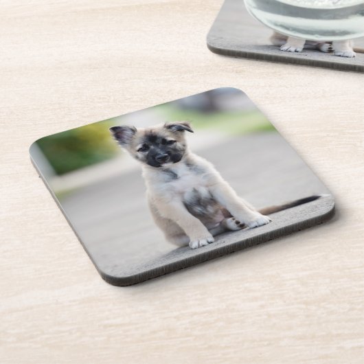 German Shepherd Puppy on Footpath Bier Onderzetter (Linkerzijde)