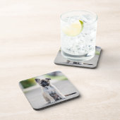 German Shepherd Puppy on Footpath Bier Onderzetter (Rechterzijde)