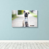 German Shepherd Puppy on Footpath Canvas Afdruk (Insitu (Houten vloer))
