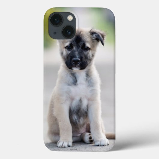 German Shepherd Puppy on Footpath Case-Mate iPhone Case (Achterkant)