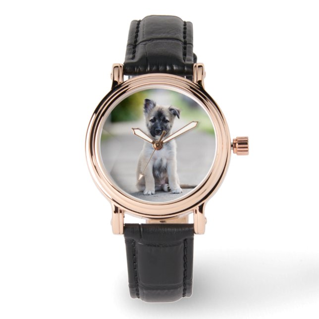 German Shepherd Puppy on Footpath Horloge (Voorkant)