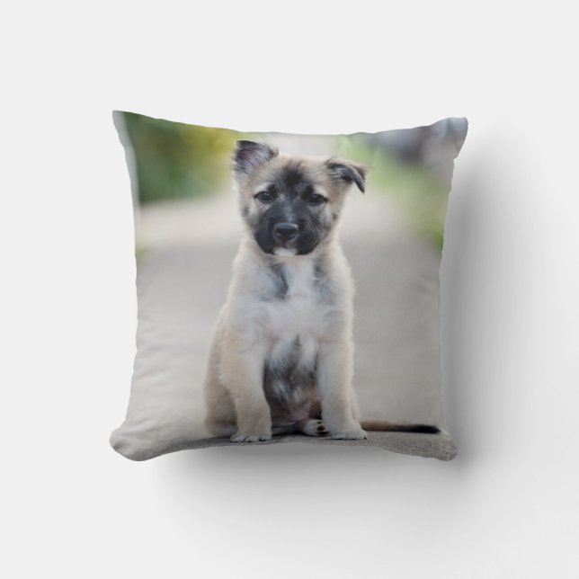 German Shepherd Puppy on Footpath Kussen (Voorkant)