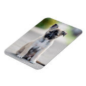 German Shepherd Puppy on Footpath Magneet (Linkerzijde)
